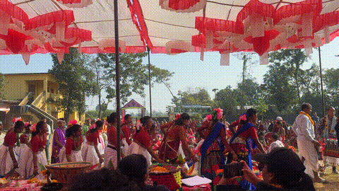 Traditional welcome dance